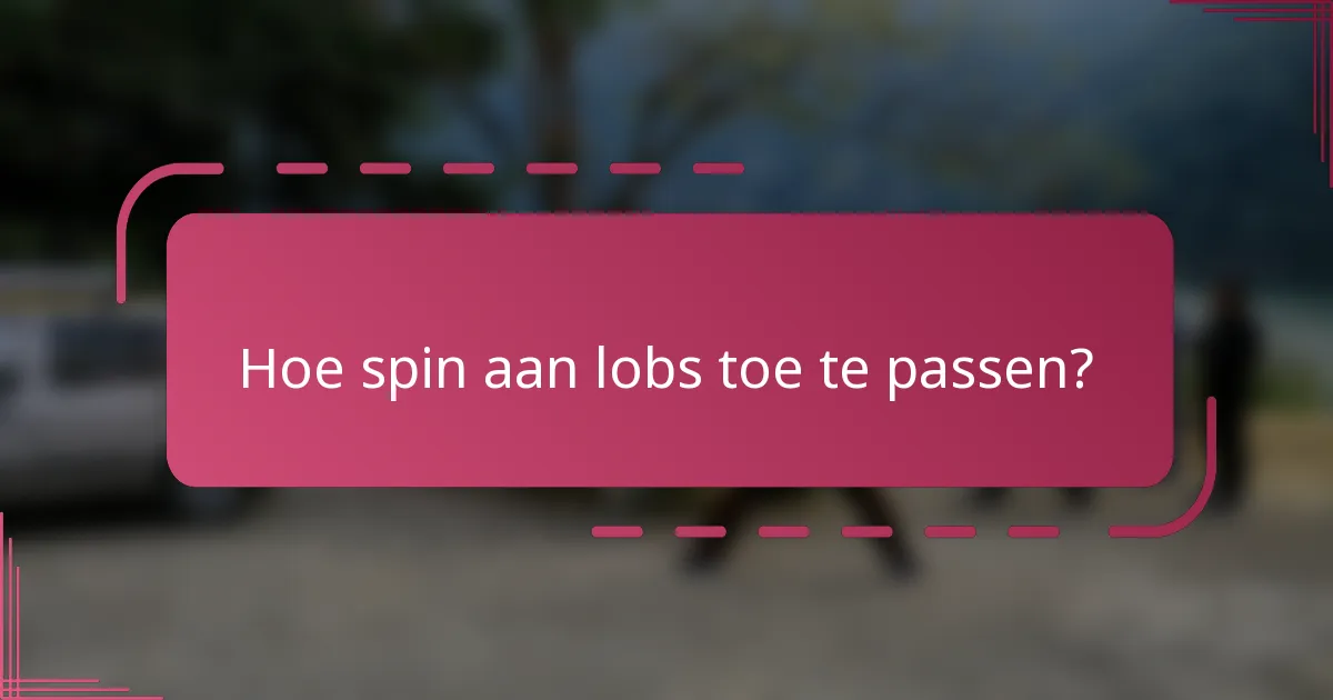 Hoe spin aan lobs toe te passen?